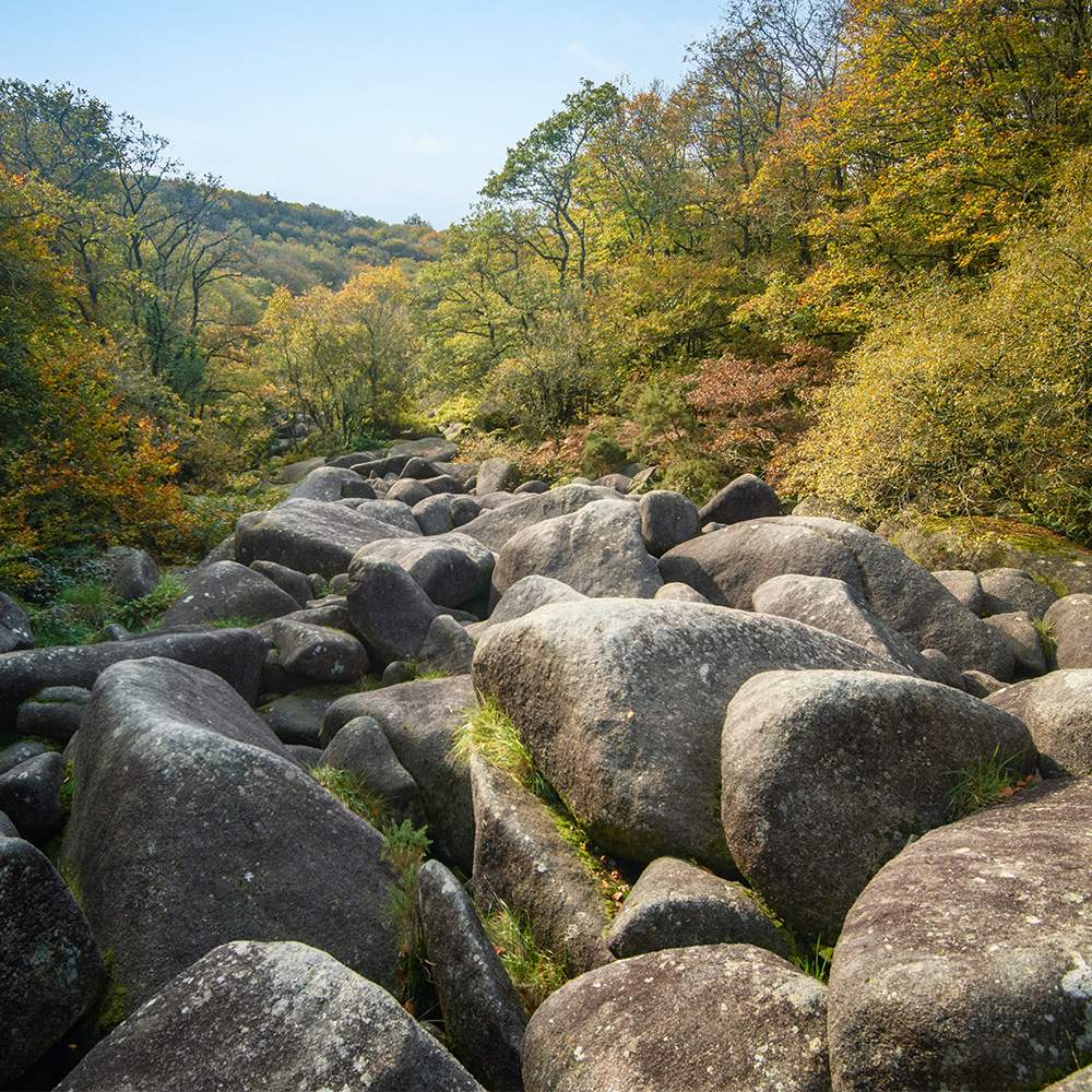 Géobiologie de l'habitat près de Coulommiers